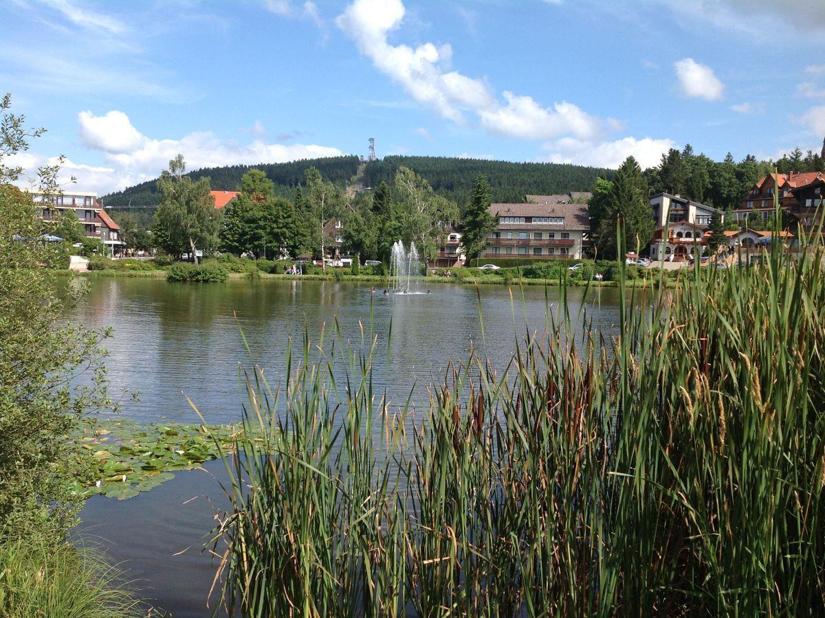 Bocksbergblick Fewo Auszeit Goslar Exteriér fotografie